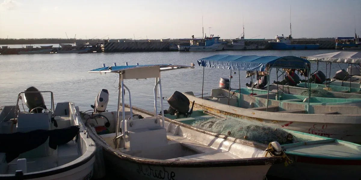 Small open fishing and tour boats moored at a quiet harbour with the far shore behind